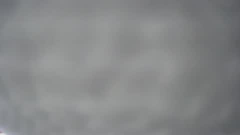 Snapshot of pichard18 chatting on 13, 12, 2024 pichard18 online show from 13, 12, 2024