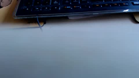 pier49x online show from 18, 4, 2026