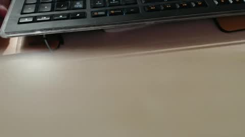 pier49x online show from 18, 4, 2026