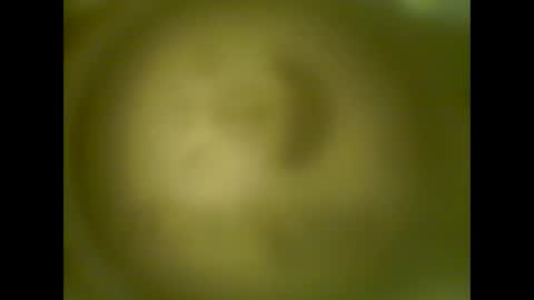 pierrecard1 online show from 13, 10, 2025