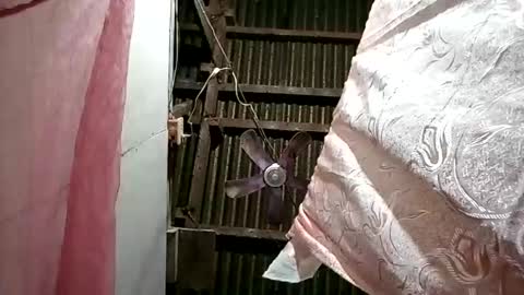 pinaybobs online show from 2, 3, 2026