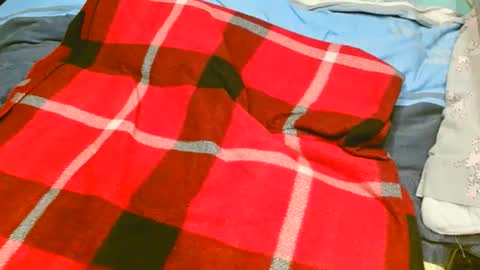 pinewoodman online show from 10, 11, 2025