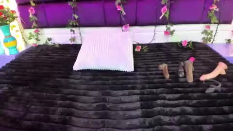 Snapshot of pink_lovee_ chatting on 4, 7, 2026 Pink Lovee online show from 4, 7, 2026