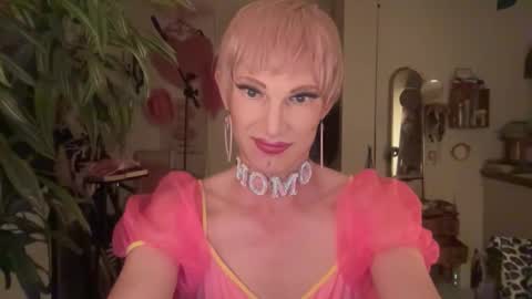 pinkfag online show from 20, 4, 2026