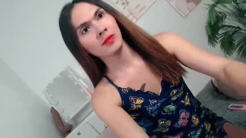 pinky_web03 online show from 11, 1, 2026