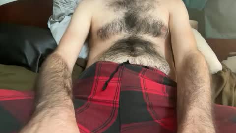 pistilstamen online show from 4, 12, 2025