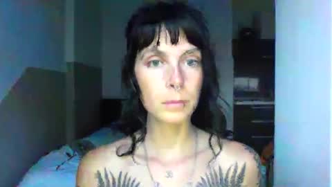 pixiecatfairy online show from 20, 10, 2025