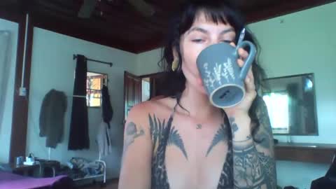 pixiecatfairy online show from 13, 11, 2025