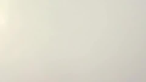 PeggedBiGuy online show from 12, 2, 2026