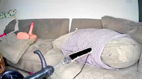 PeggedBiGuy online show from 25, 4, 2026