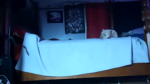 SEX ADDICTION WANNA MEET online show from 20, 1, 2025