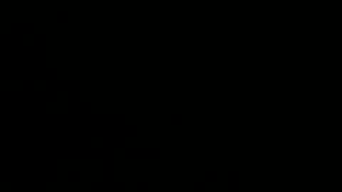 playerboybunny online show from 1, 12, 2025