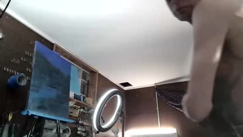 Snapshot of playfulpainter chatting on 18, 3, 2026 playfulpainter online show from 18, 3, 2026