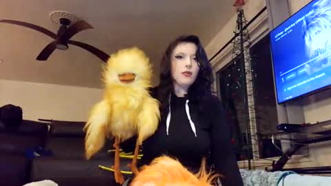 pleasantdinosaurus7537 online show from 13, 1, 2026