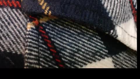 pllkgh45ymn online show from 10, 9, 2025