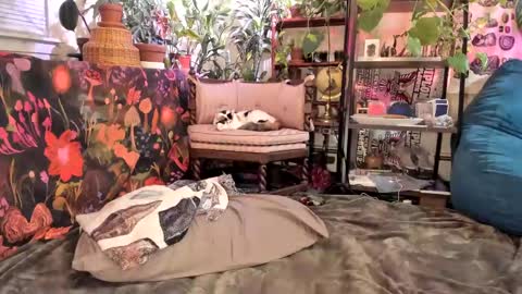 Goddess Pluto online show from 31, 1, 2025