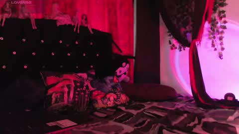  Luna  online show from 15, 2, 2026