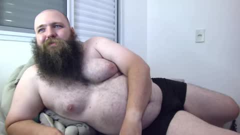 Bear online show from 21, 1, 2025