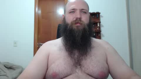 Bear online show from 17, 2, 2025