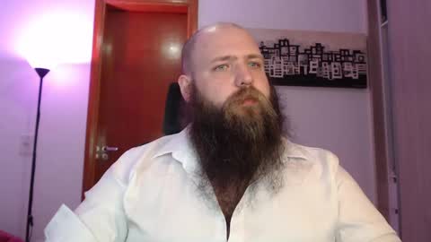 Bear online show from 8, 3, 2025