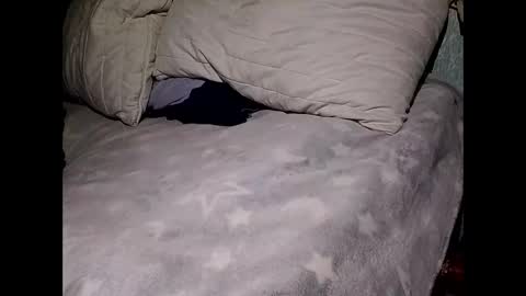 Snapshot of pollachico chatting on 28, 11, 2025 pollachico online show from 28, 11, 2025