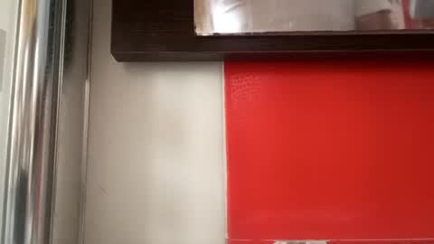 pollonmix online show from 11, 9, 2025