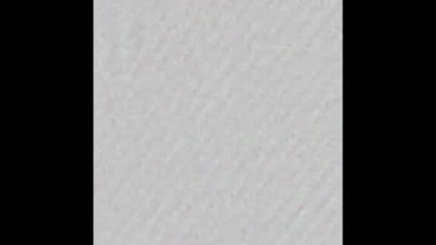 Polly online show from 4, 2, 2026