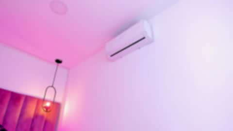 POLLY online show from 7, 3, 2026