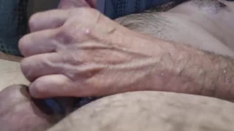 polo6662 online show from 26, 3, 2026