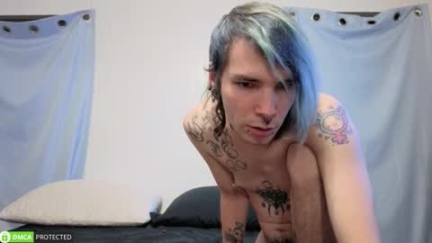 Snapshot of polyhouseofgays chatting on 18, 11, 2025 Cheshire Bee online show from 18, 11, 2025