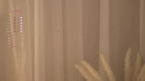 Snapshot of poni_dii chatting on 17, 4, 2026 online show from 17, 4, 2026