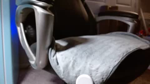 Snapshot of poppyntx chatting on 24, 5, 2026 poppyntx online show from 24, 5, 2026