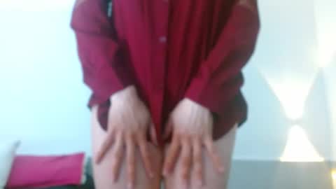 porcelainlux online show from 8, 11, 2025