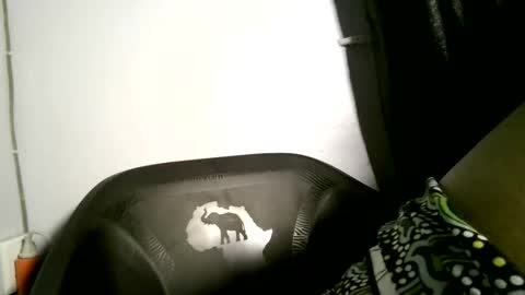 luna online show from 2, 4, 2026