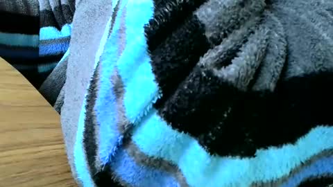 poshman65 online show from 23, 2, 2025