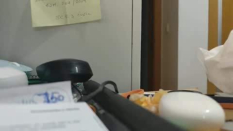 ppillo online show from 17, 11, 2025