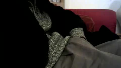 precumslut99 online show from 24, 3, 2026