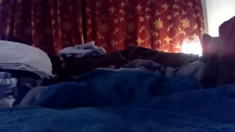 pretty_boy_jack online show from 25, 2, 2025