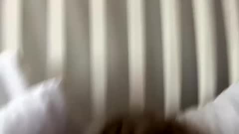Snapshot of prettypxssyyy chatting on 27, 9, 2025 Prettiestpussy online show from 27, 9, 2025