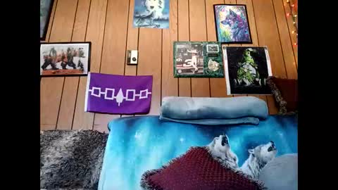 prettysolid7 online show from 1, 3, 2026