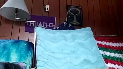 prettysolidd7 online show from 4, 12, 2024