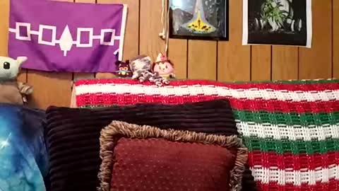 prettysolidd7 online show from 1, 1, 2025