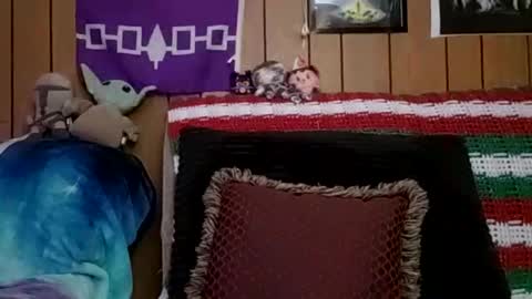 prettysolidd7 online show from 4, 1, 2025