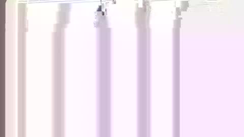 Princess Asshole online show from 21, 4, 2026