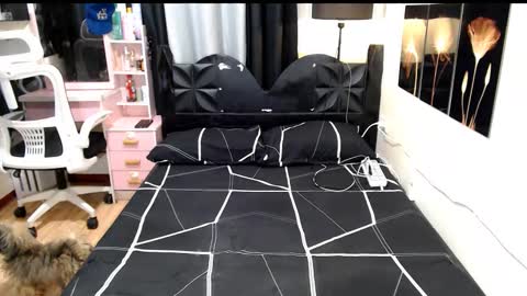 Shane online show from 13, 10, 2025