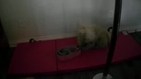 Snapshot of princesskimami chatting on 25, 10, 2025 princesskimami online show from 25, 10, 2025