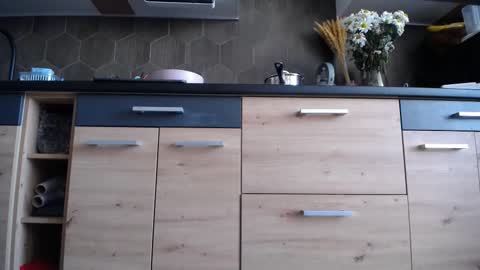 Space online show from 25, 11, 2025