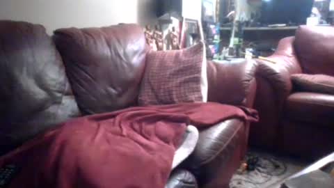 MUSCLEGOD online show from 14, 9, 2025