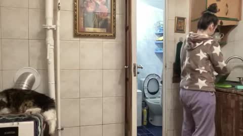 proud sweet 21 online show from 1, 2, 2026