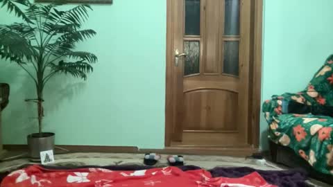 proud sweet 21 online show from 14, 4, 2026